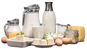 Dairy